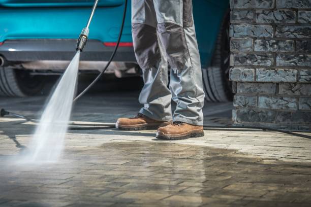 Best Fleet Vehicle Washing  in Wylie, TX