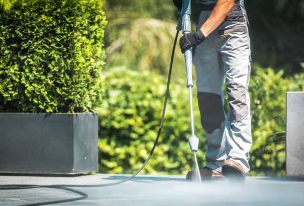 Best Gutter Cleaning  in Wylie, TX